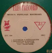 Veress Zoltán - Muzică Populară Maghiară