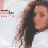 7inch Vinyl Single - Veronica Lee - Burn It Up