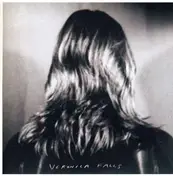 veronica falls - TEENAGE