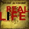 CD - Vershki Da Koreshki - Real Life Of Plants