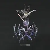 Vexed - Negative Energy