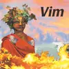 CD - Vim - Vim