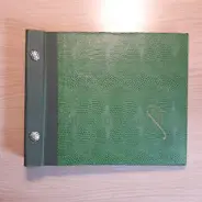 Vintage Schallplattenalbum - grün, Hardcover mit Schlangenmuster, für 10 Singles