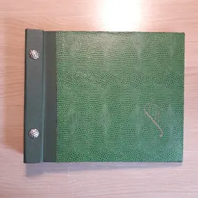 Vintage Schallplattenalbum - grün, Hardcover mit Schlangenmuster, für 10 Singles