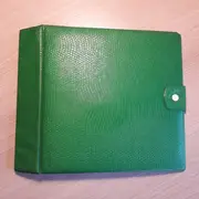 Vinyl Storage - Vintage Schallplattenalbum - in grüner Schlangenlederoptik, für 20 Singles