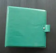 Protection - Vintage Schallplattenalbum - in hellgrün, für 16 Singles