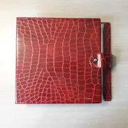 Vinyl Storage - Vintage Schallplattenalbum - in roter Schlangenlederoptik, für 16 Singles