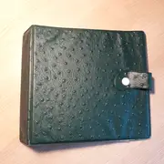 Vinyl Storage - Vintage Schallplattenalbum - in grüner Lederoptik für 20 Singles