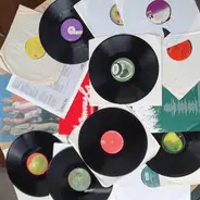 Vinyl Wholesale - Main Artists of Rock & Pop Incomplete Discs only