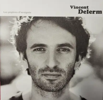 Vincent Delerm - Les Piqûres d'Araignée