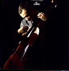 Vincent Segal - Cello
