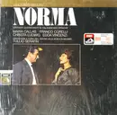 LP - Bellini - Norma (Grosser Querschnitt In Italienischer Sprache)