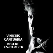 CD - Vinicius Cantuária - Indio De Apartamento - Digipak