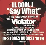 12inch Vinyl Single - Violator - Say What (Radio Edit) - Promo