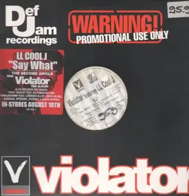 The Violator - Say What / First Degree / Violators