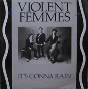 Violent Femmes - It's Gonna Rain