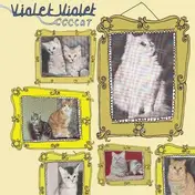 Violet Violet - C C C CAT