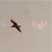 Violet - Y.O.U./I COME UNDONE
