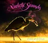 LP - Violette Sounds - Wild And Blue - Pink Vinyl / Still Sealed