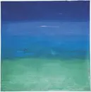 CD - Vio/Miré - You Will Be Spending Time Outdoors, In The Mountains, Near Water