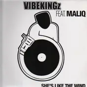 Vibekingz Feat. Maliq