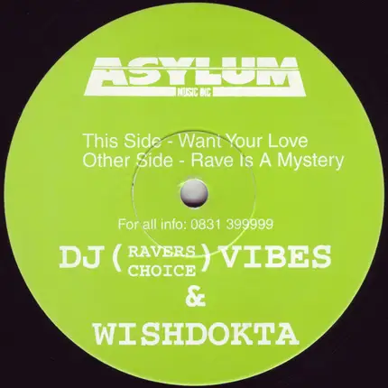 Vibes & Wishdokta - Want Your Love / Rave Is A Mystery