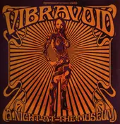 Vibravoid - A Night At The Museum