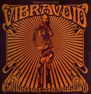 Vibravoid - A Night At The Museum