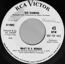 7inch Vinyl Single - Vic Damone - What's A Woman
