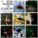LP - Victor C. Lewis - Bird Sounds In Close Up - Mono, Leaflet incl.