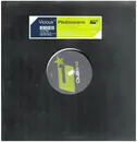 12inch Vinyl Single - Vicious - Pfeifenalarm (Remixes)