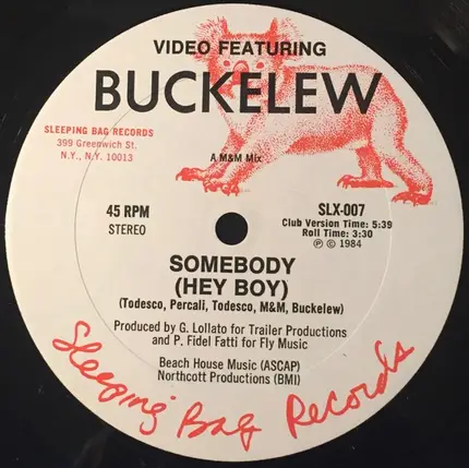Video Featuring Dyan Buckelew - Somebody (Hey Boy)
