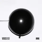 Vidis