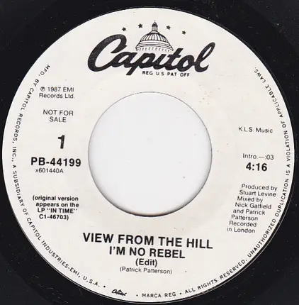 View From The Hill - I'm no Rebel