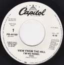 7inch Vinyl Single - View From The Hill - I'm No Rebel