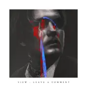 The View - Leave A Comment
