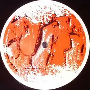 12inch Vinyl Single - Vigi & Precision Cuts - I Found Love