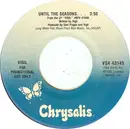7inch Vinyl Single - Vigil - Until The Seasons...