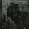 Double LP - Vijay Iyer Trio - Break Stuff