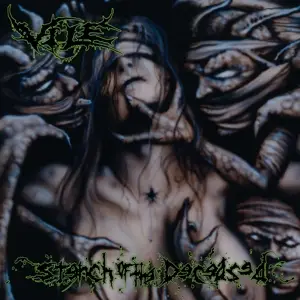 Vile - Stench Of The Deceased