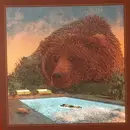 LP - Villagers - Fever Dreams - Dark-Green Vinyl, Die-cut sleeve