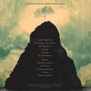 LP - Villagers - Where Have You Been All My Life? - 180gm