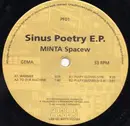 12'' - Ricardo Villalobos - Sinus Poetry E.P. - 1st Record!