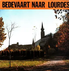 Ville De Lourdes - Bedevaart naar Lourdes