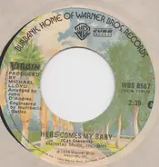 Virgin - Here Comes My Baby