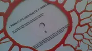 12inch Vinyl Single - Virgin Souls - Personality