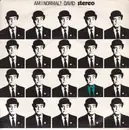 7inch Vinyl Single - Virginia David - Am I Normal? - Blue Labels