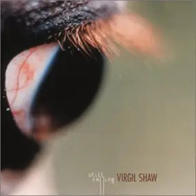 Virgil Shaw - Still Falling