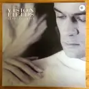 7inch Vinyl Single - Vision Fields - Missing You