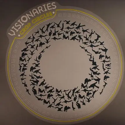Visionaries - Crop Circles
